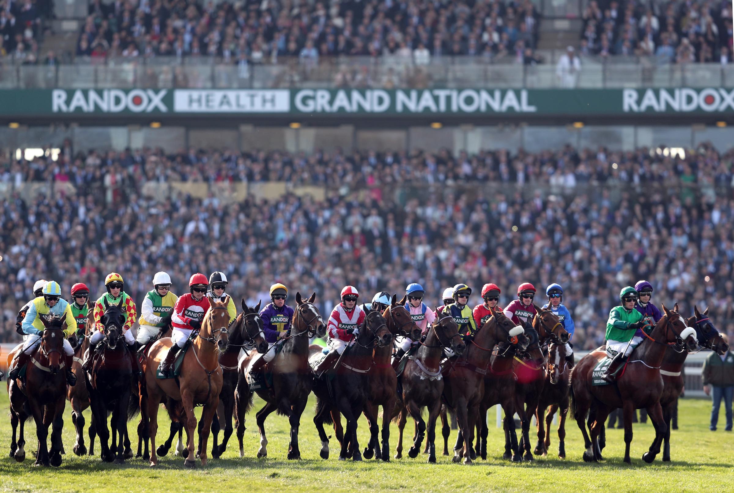 Grand national winners list and odds college football