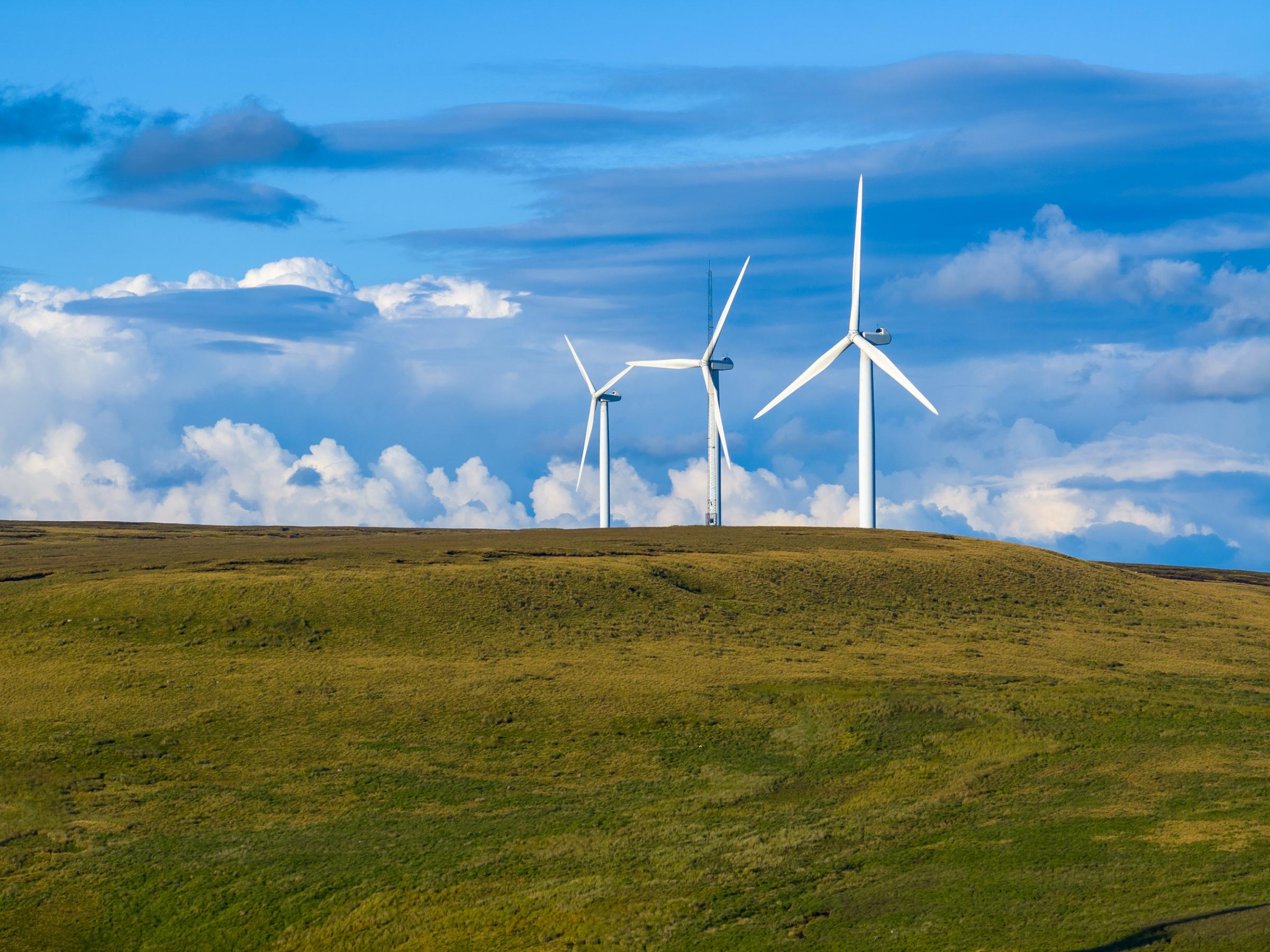 The Scout Moor wind farm near Rochdale (Picture: Cubico Sustainable Investments)