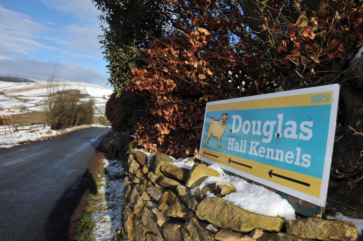 Independent Review Into Handling Of Douglas Hall Kennels Licence Handling Lancashire Telegraph